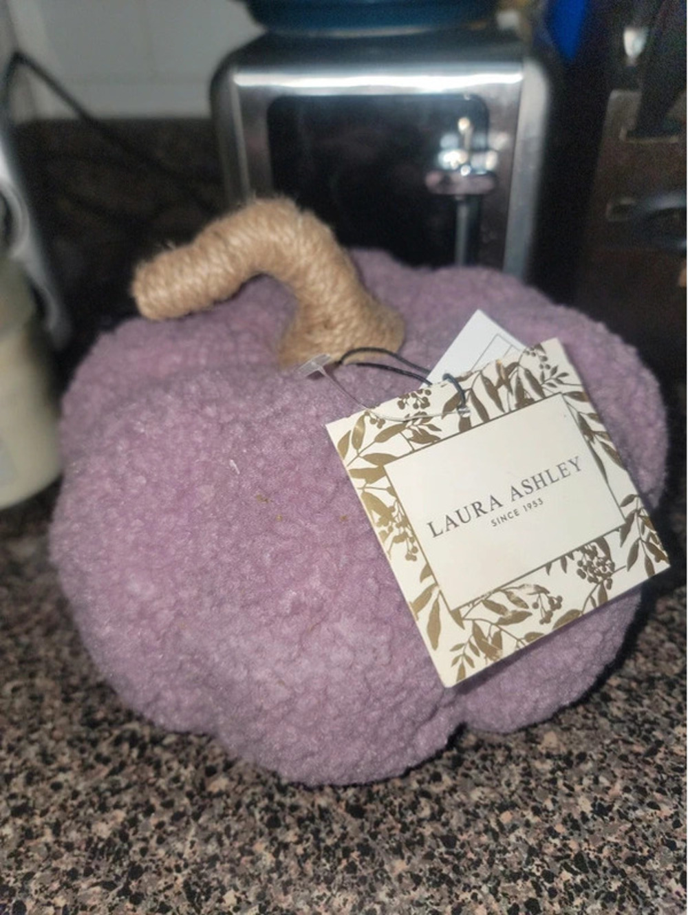 Laura ashley purple pumpkin